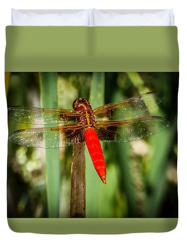 Dragonfly Duvet Cover featuring the photograph Red Dragonfly by Pamela Newcomb