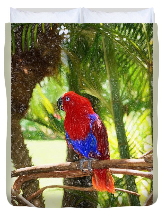 Hawaii Duvet Cover featuring the photograph Red Eclectus Parrot by Sue Melvin