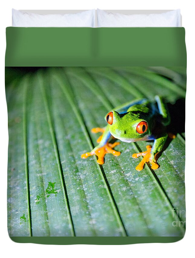 Red Eyed Tree Frog Duvet Covers
