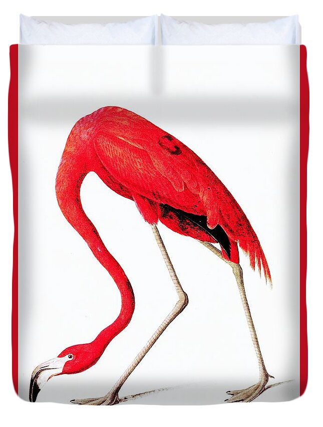  Vintage Duvet Cover featuring the digital art Red flamingo from Audubon by Heidi De Leeuw