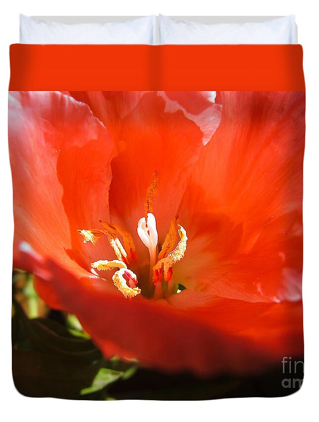 Wall Art Duvet Cover featuring the photograph Red Flower Macro by Kelly Holm
