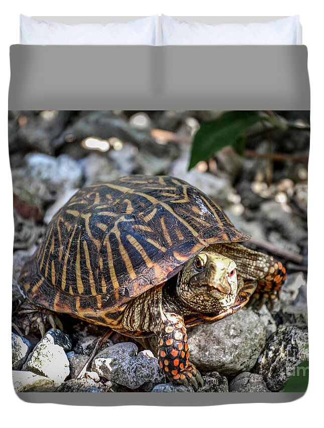 Plant Duvet Cover featuring the photograph Red-Footed Tortoise by Lisa Kilby