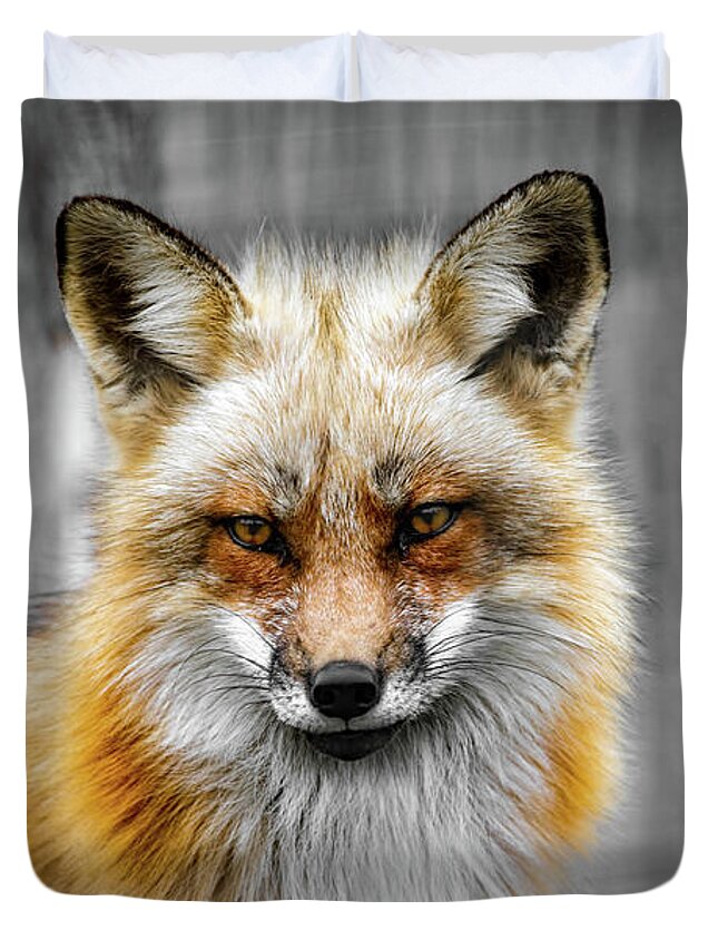 Fox Duvet Cover featuring the photograph Red fox portrait by Sam Rino