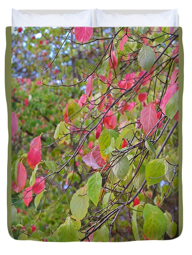 Dogwood Duvet Cover featuring the photograph Red Green October by Michele Myers