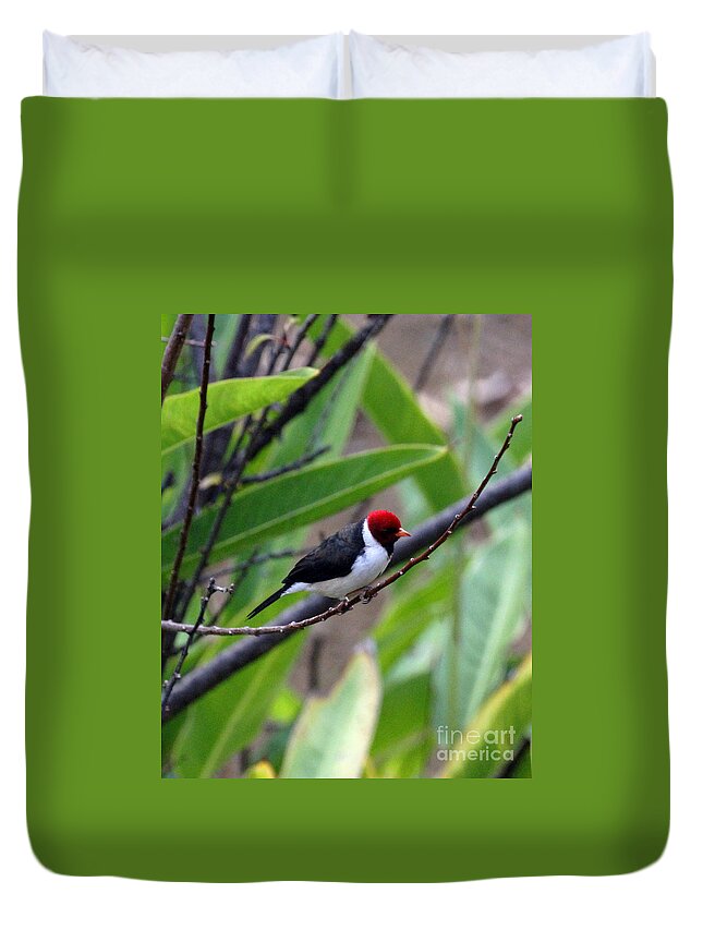 Red Head Duvet Cover featuring the photograph Red Head by Jennifer Robin