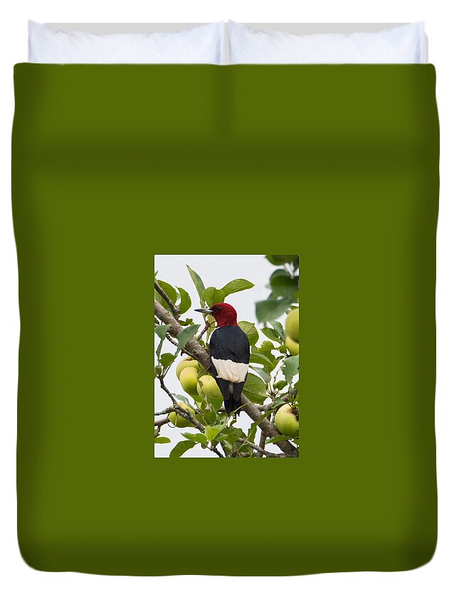 Red-headed Woodpecker Duvet Cover featuring the photograph Red-Headed Woodpecker by Holden The Moment