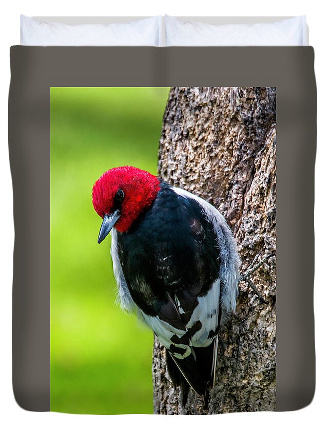 Bird Duvet Cover featuring the photograph Red-headed Woodpecker by Skip Tribby