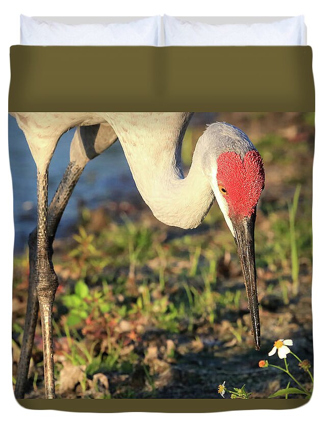 Sandhill Crane Duvet Cover featuring the photograph Red Heart by Donna Kennedy