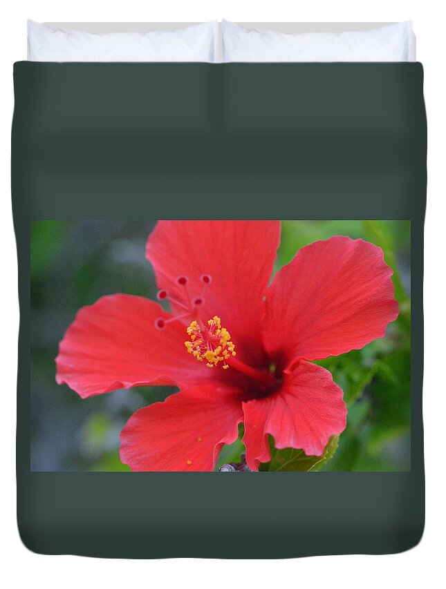 Flower Duvet Cover featuring the photograph Red Hibiscus 2 by Amy Fose
