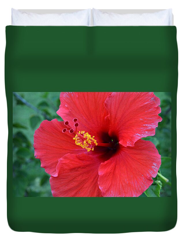 Flower Duvet Cover featuring the photograph Red Hibiscus 1 by Amy Fose