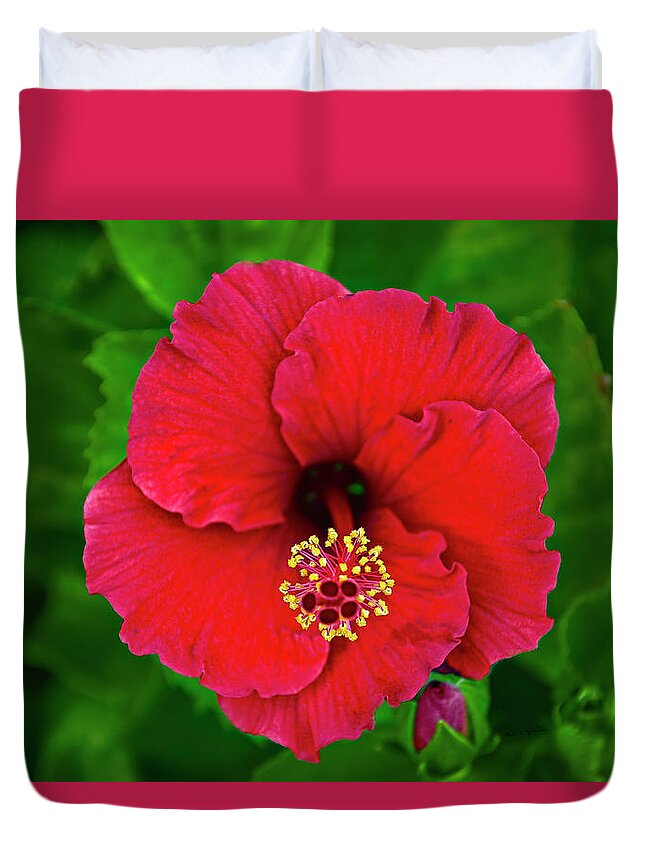 Art Duvet Cover featuring the photograph Red Hibiscus h11 by Mark Myhaver