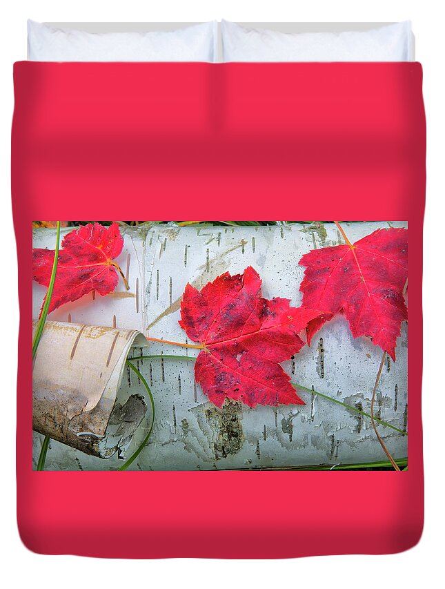 Maple Leaves Duvet Cover featuring the photograph Red Leaves by Nancy Dunivin