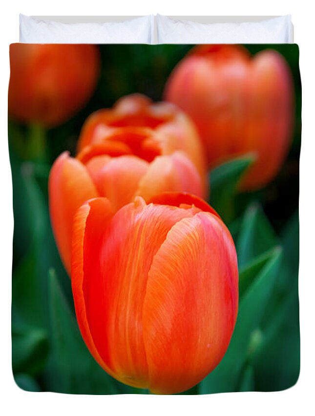 Spring Flowers Duvet Cover featuring the photograph Red Tulips by Az Jackson