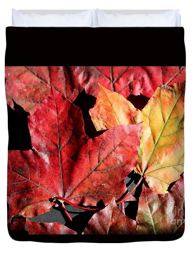 Red Maple Leaves Digital Painting Duvet Cover featuring the photograph Red Maple Leaves Digital Painting by Barbara A Griffin