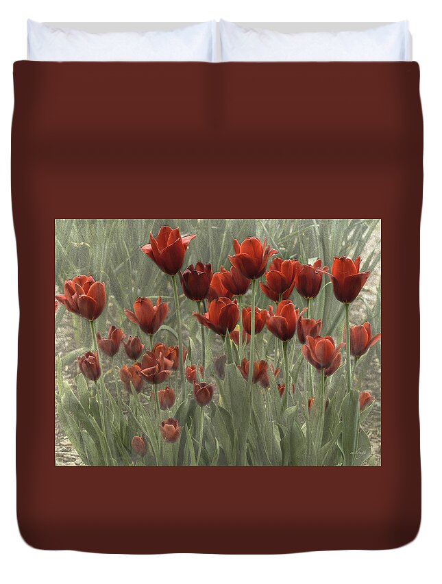 Tulips Duvet Cover featuring the photograph Red by Mary Clough