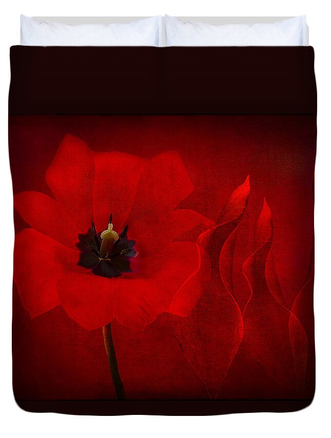 Red Tulip Duvet Cover featuring the photograph Red Musical by Marina Kojukhova
