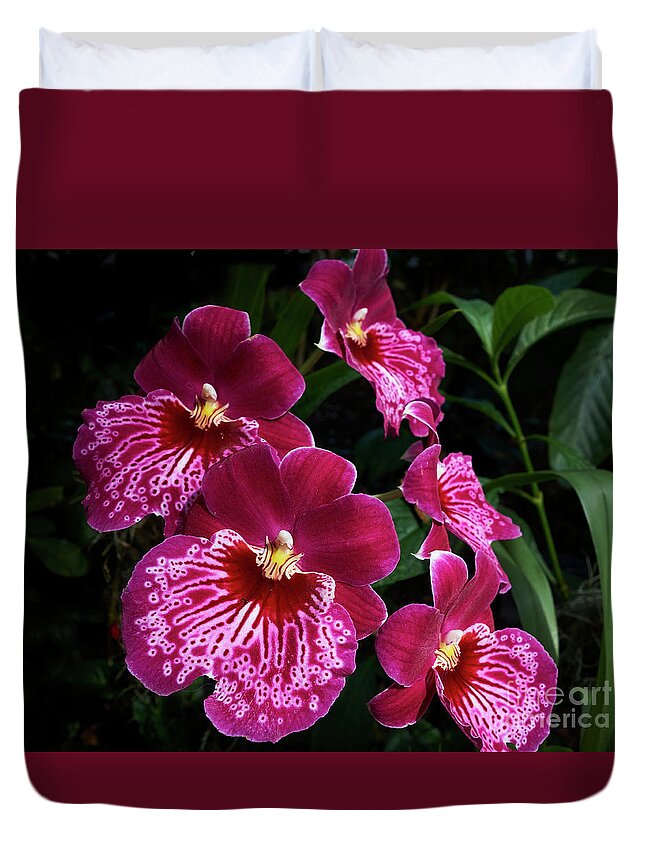 Orchid Duvet Cover featuring the photograph Red Orchids by Steve Ondrus