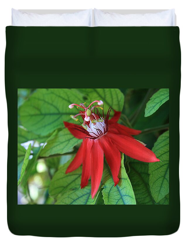 Red Passion Duvet Cover featuring the photograph Red Passion by Marna Edwards Flavell