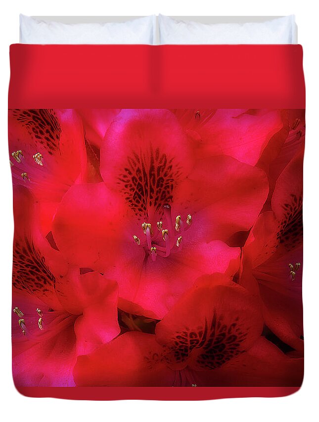 Flowers Duvet Cover featuring the photograph Red Petals by Mike Eingle