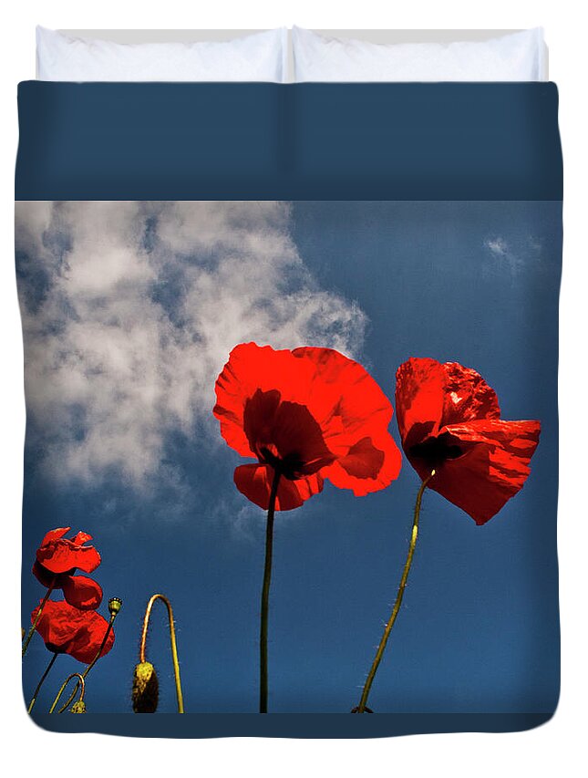 Nature Duvet Cover featuring the photograph Red Poppies on blue sky by Heiko Koehrer-Wagner