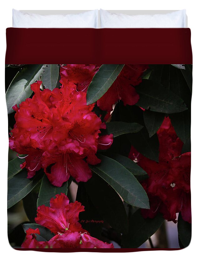 Rhododendron Duvet Cover featuring the photograph Red Rhododendron by Jeanette C Landstrom