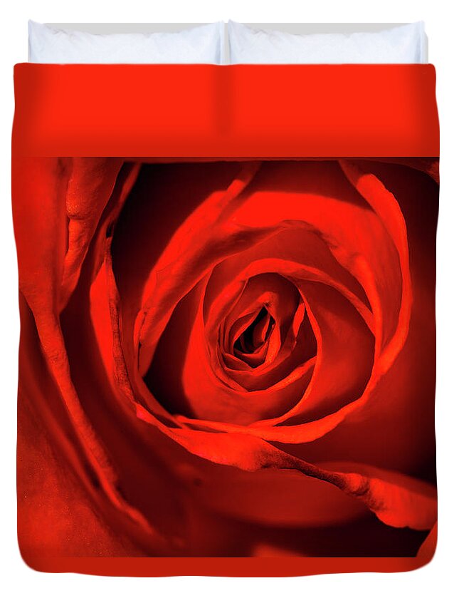 Jay Stockhaus Duvet Cover featuring the photograph Red Rose by Jay Stockhaus