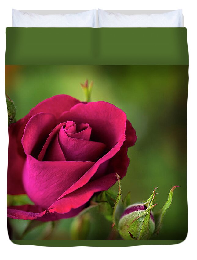 Rose Duvet Cover featuring the photograph Red Rose by Steven Clark