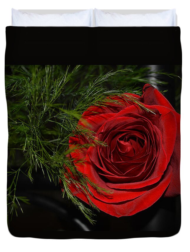 Red Rose With Garnish And Black Velvet Duvet Cover For Sale By