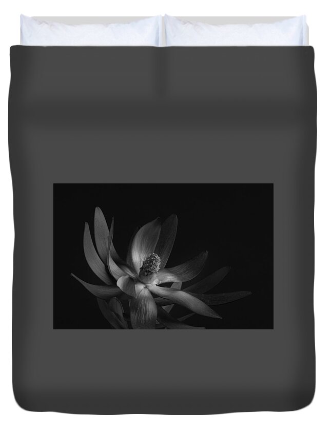 Flower Duvet Cover featuring the photograph Red Safari Sunset Proteaflora #5 by Catherine Lau