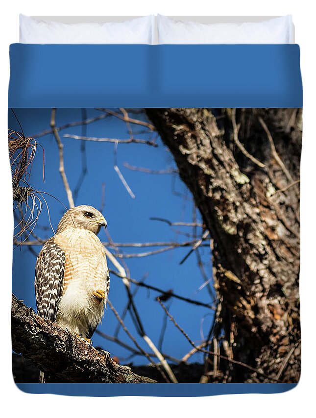 Bird Duvet Cover featuring the photograph Red Shouldered Hawk by George Kenhan