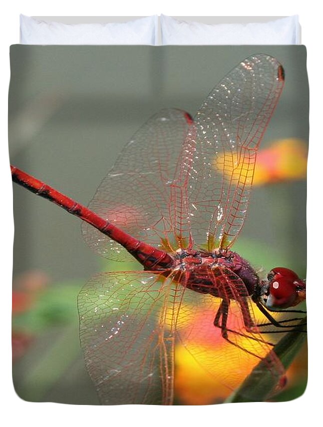 Red Duvet Cover featuring the photograph Red Skimmer or Firecracker Dragonfly With Lantana Background by Taiche Acrylic Art