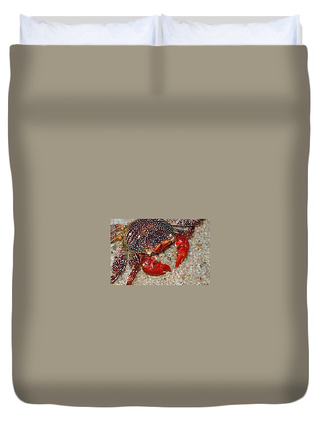 Red Duvet Cover featuring the photograph Red Spotted Crab by Karon Melillo DeVega