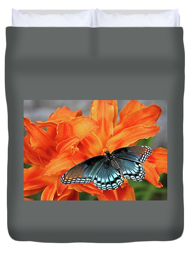 Red-spotted Purple Duvet Cover featuring the photograph Red Spotted Fritillary by Kristin Elmquist