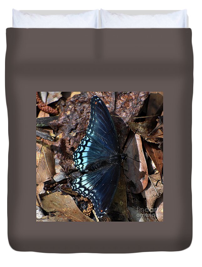 Nature Duvet Cover featuring the photograph Red Spotted Purple Admiral by Skip Willits