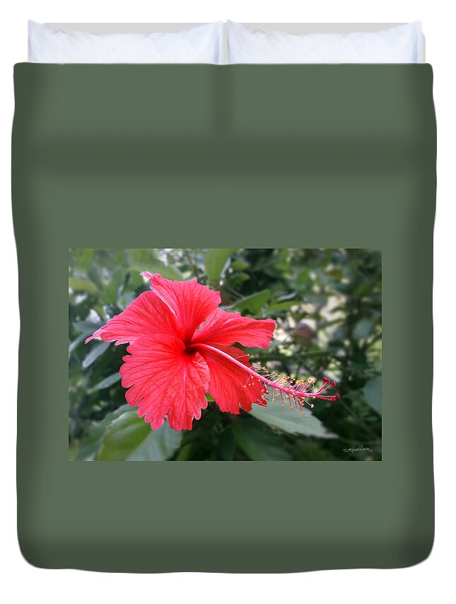 Hibiscus Duvet Cover featuring the photograph Red-Tailed Flower Portrait by Steven Robiner