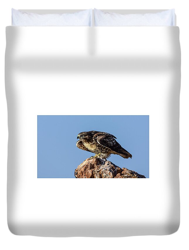 Raptor Duvet Cover featuring the photograph Red Tailed Hawk 11 by Rick Mosher