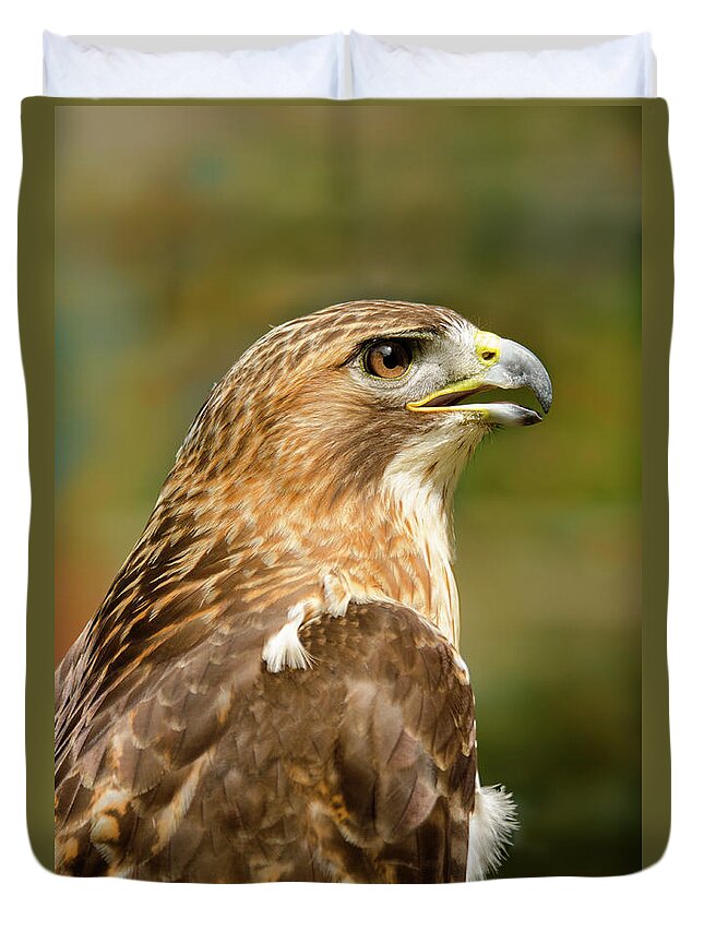 Animal Duvet Cover featuring the photograph Red-Tailed Hawk Close-up by Ann Bridges
