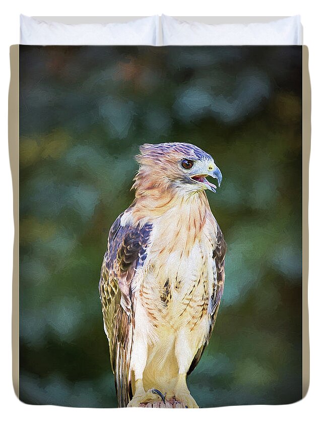 Nature Duvet Cover featuring the photograph Red Tailed Hawk by Sharon McConnell