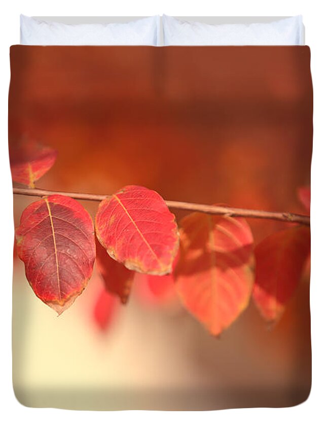 Nature Duvet Cover featuring the photograph Red Tallo Leaves by Linda Phelps