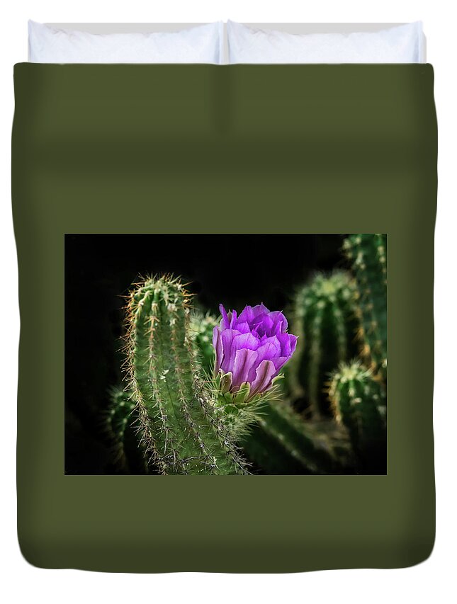 Red Duvet Cover featuring the photograph Red Torch Cactus by Tam Ryan