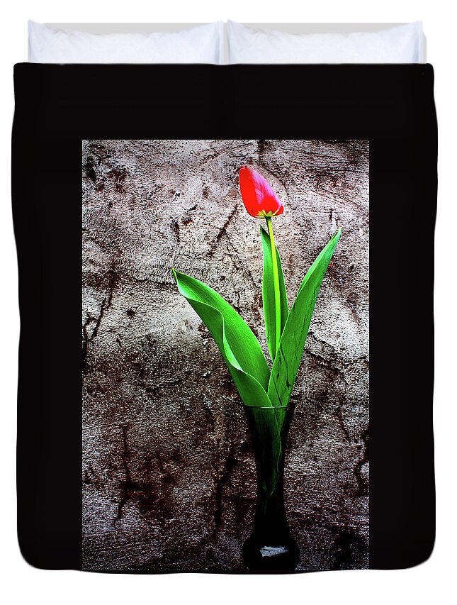 Red Tulip Duvet Cover featuring the photograph Red Tulip by Gray Artus
