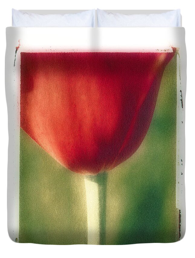Spring Duvet Cover featuring the photograph Red Tulip by Joye Ardyn Durham