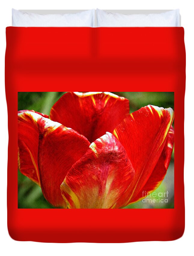 Tulip Duvet Cover featuring the photograph Red Tulip by Sarah Loft