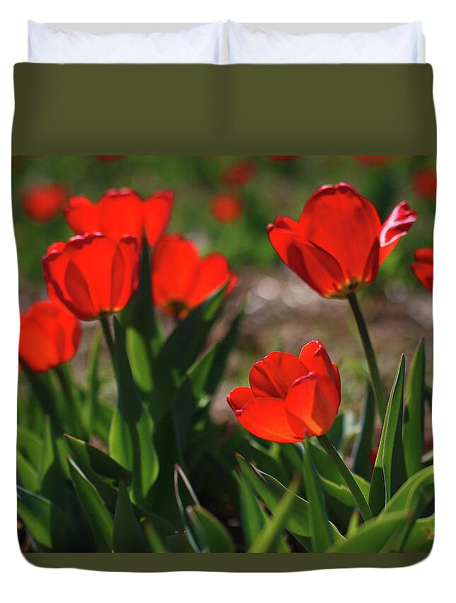 Laurie Lago Rispoli Duvet Cover featuring the photograph Red Tulips in Spring by Laurie Lago Rispoli