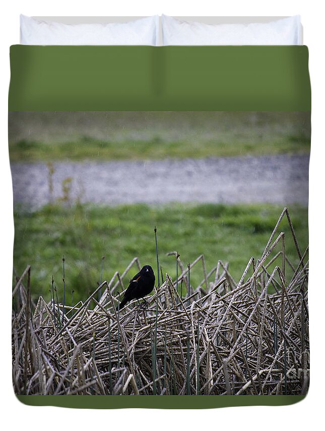 Landscape Duvet Cover featuring the photograph Red winged black bird by Donna L Munro