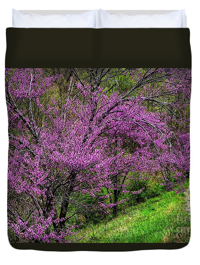 Spring Duvet Cover featuring the photograph Redbud and Path by Thomas R Fletcher