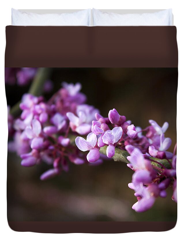 Flower Duvet Cover featuring the photograph Redbuds in March by Jeff Severson