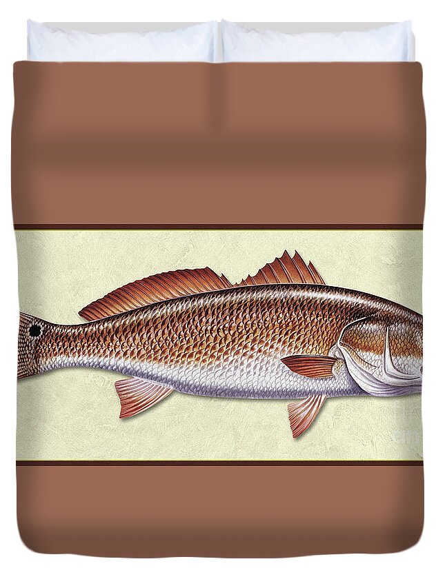 Jon Q Wright Redfish Ocean Saltwater Gamefish Fishing Fish Print Fish Poster Lure Tackle Duvet Cover featuring the painting Redfish ID by Jon Q Wright