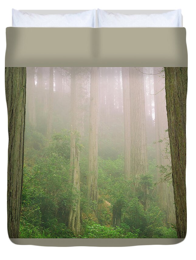 Redwoods Fog Duvet Cover featuring the photograph Redwoods fog by Kunal Mehra