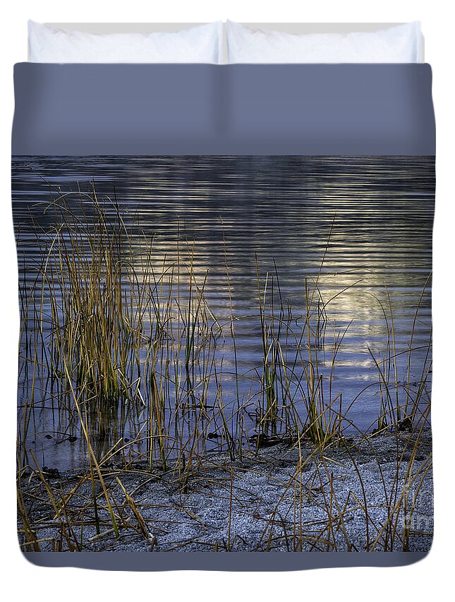 California Duvet Cover featuring the photograph Reeds and Reflection by Timothy Hacker